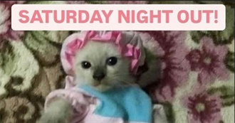 Princess Ellie&#39;s Most Auspicious Cinema