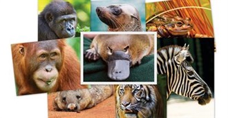 Animals of All Kinds