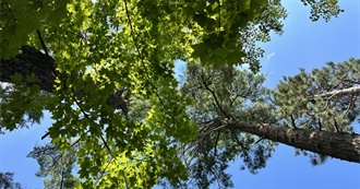 63 US National Parks, Current as of 2022