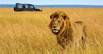 Best Safari Destinations in the World