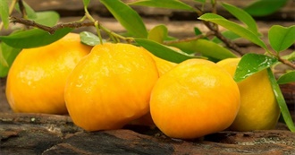 Big T&#39;s Popular Fruits of the World Part 6