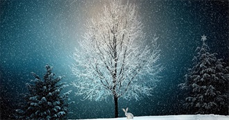 Foods to Eat in December (Central Europe)