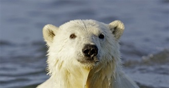 Meagan&#39;s Favorite Animals