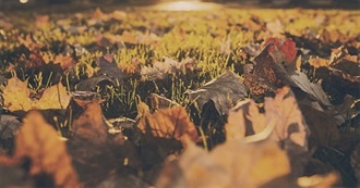 11 Books That Will Get You in the Fall Spirit