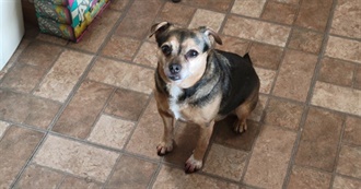 Kent&#39;s Top Movies