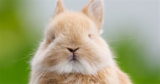 Personal Important Media Checklist