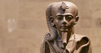 Most Common Interests of INTJ Persons