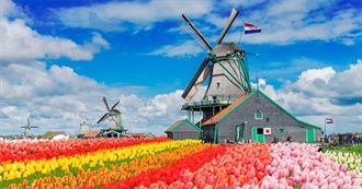50 Biggest Municipalities of the Netherlands
