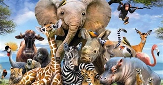 Animals Alice Has Seen So Far