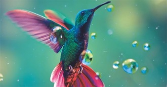 2021 WWEnd Award Worthy SFF Novels