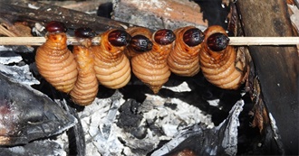 Top 300 Bizarre Foods/Drinks So Far