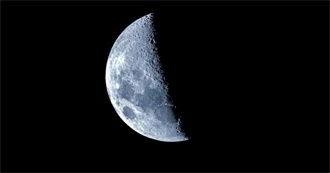 Movies for the Lonely Insomniac