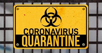 100 Things to Watch While Quarantined