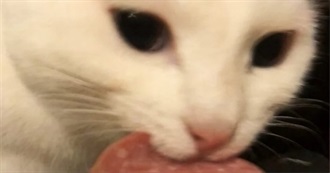 Eve&#39;s 100 TV Shows &#128012;