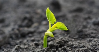 Life Experiences - So Far