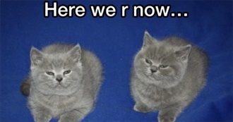 Cator99 Fav Musicians in No Particylar Order