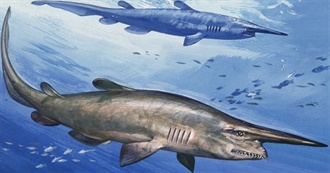 50 Weird Animals From Around the World