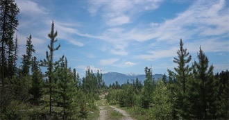 Lovemug&#39;s 100 Most Played Albums