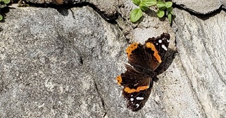 Shdwsilk&#39;s Fave Books