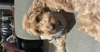 Rebecca's 2025 Reads- Ranked