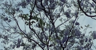 Emjay&#39;s All Time Greatest Films