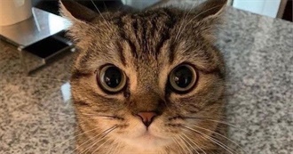 Roswells Curated Ebook Collection