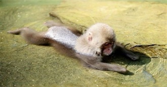 Kieren&#39;s Top 100 Albums