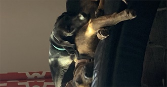 Sarah&#39;s 2023 Books