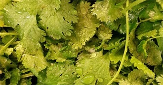 Most Disliked Spices and Condiments