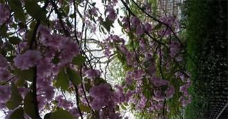 Diane and Paul&#39;&#39;s Travel