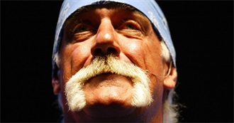 Hulk Hogan Movieography