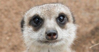 March&#39;s Favorite Talkies!