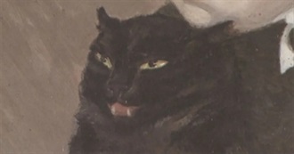 Curls Important Books