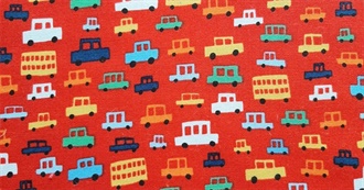 Zebra&#39;s Choices of Fun Stuff