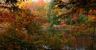 USA Today&#39;s 10 Best Destinations for Fall Foliage (2022)