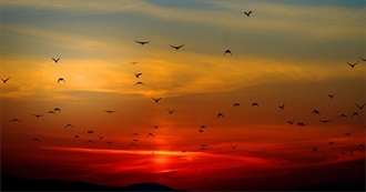 Every Album Listened to in April 2024