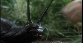 Rosie&#39;s Movies From the 80s X