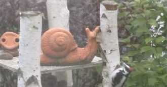 SKJAM! Reads--One Read, One Recommended 11/25