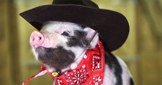 Ellen&#39;s Objectively Best Movies and TV List