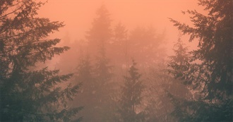 F&#39;s Top 100 Movies