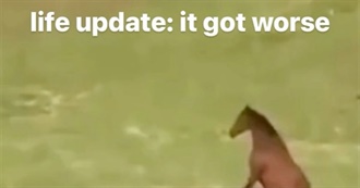 Alaska&#39;s Favorite Albums of Ever