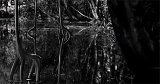 Rhodey&#39;s Favorite Shows!