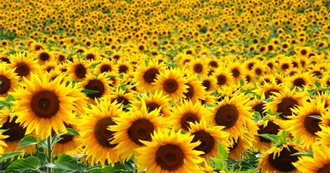 Emmy Lou&#39;s 3rd Quarter 2022 Books Read