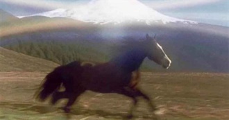 Kdrama Essential Viewing