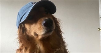 Jess&#39;s Favourite Movies