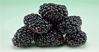 10 Foods Using Blackberries