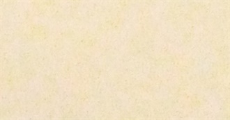 Wisti&#39;s Top Flicks Ig