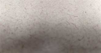 Books That Made Dove Dove