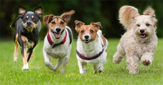 Ezra&#39;s Formative Books