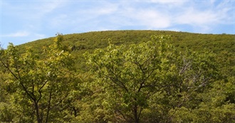 Planetware&#39;s 10 Top-Rated Tourist Attractions in Connecticut